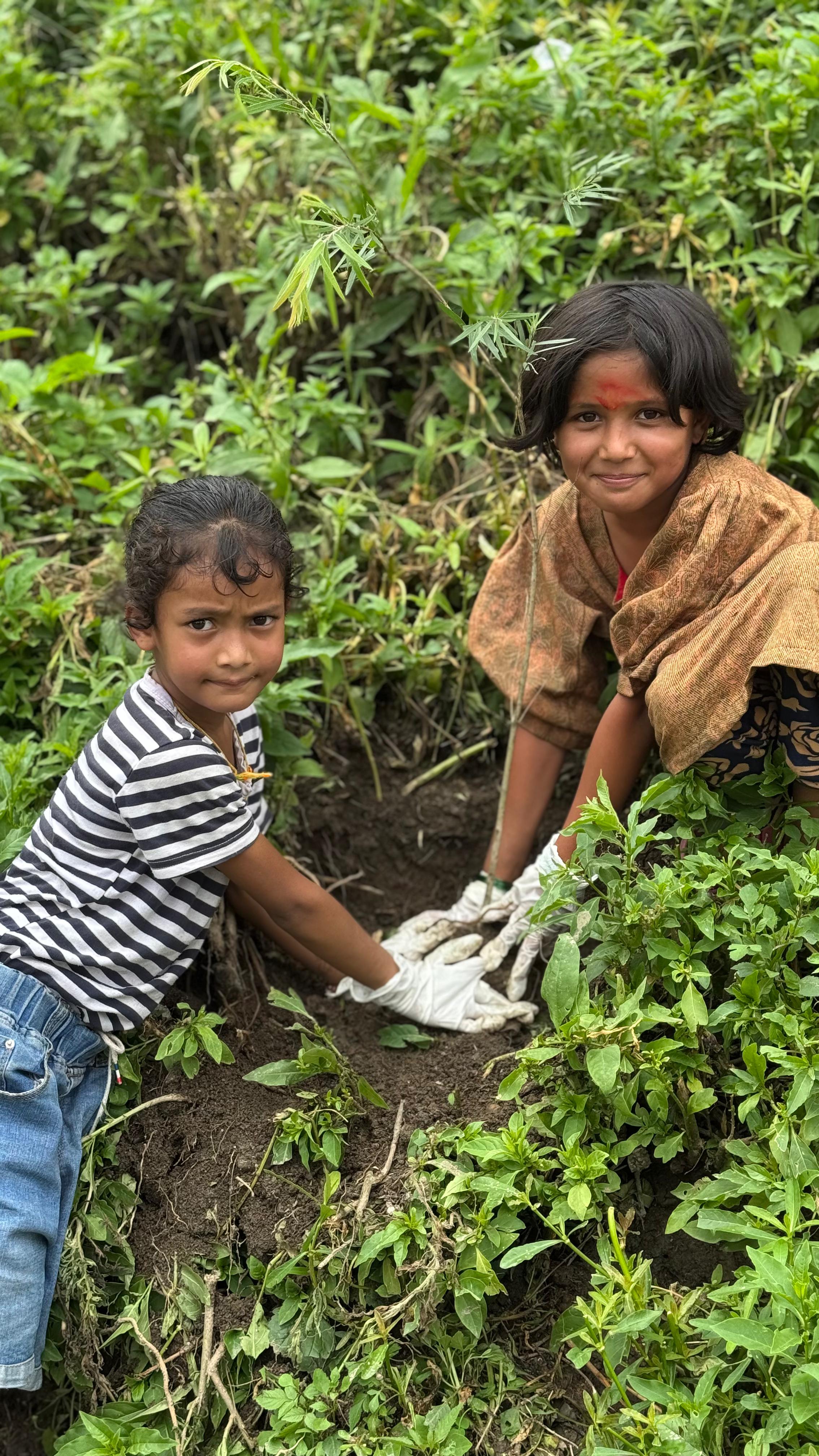 Plantation with Rotary